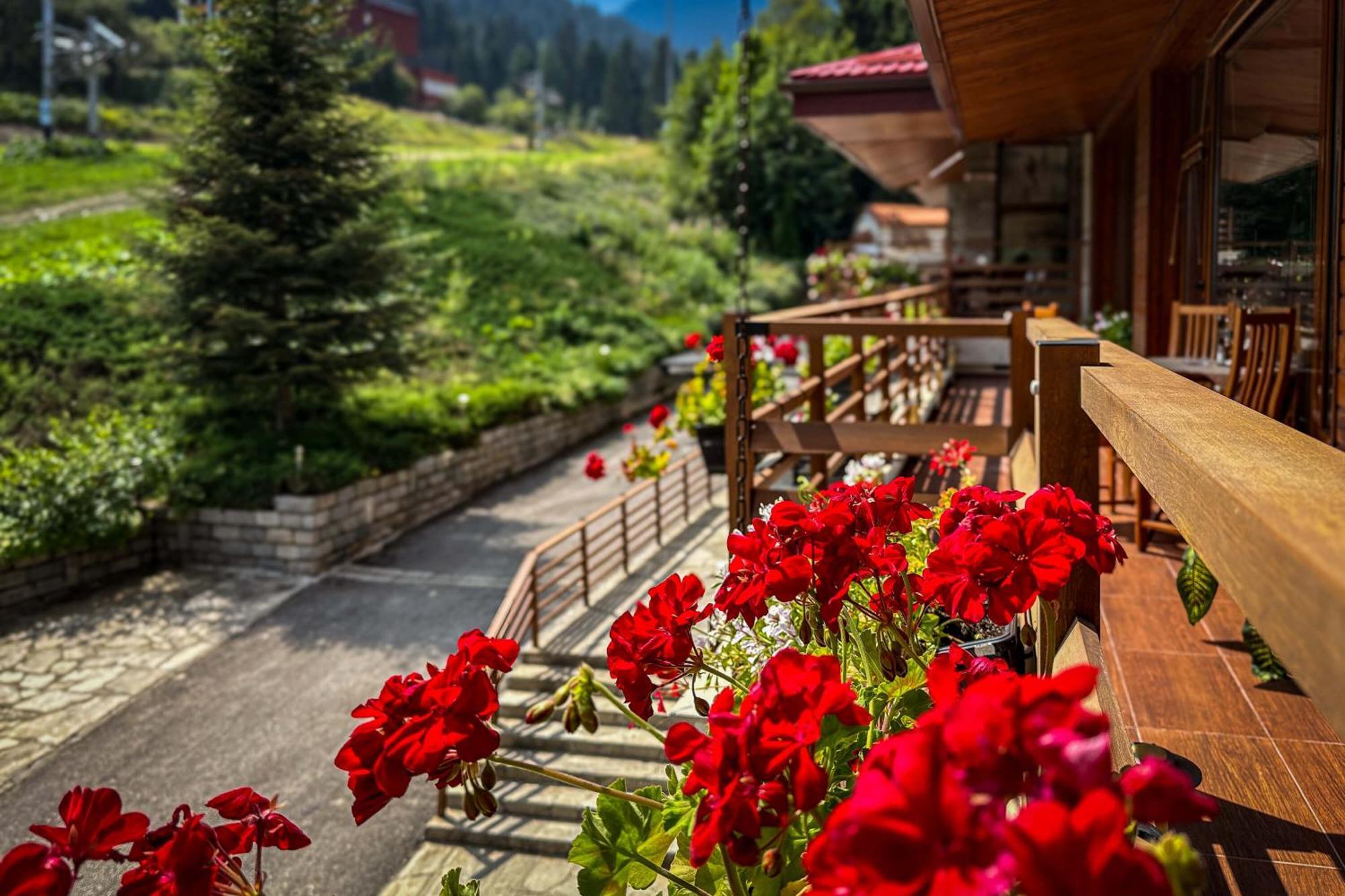 Musala Hotel